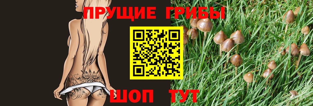 Псилоцибиновые грибы Magic Shrooms Полевской