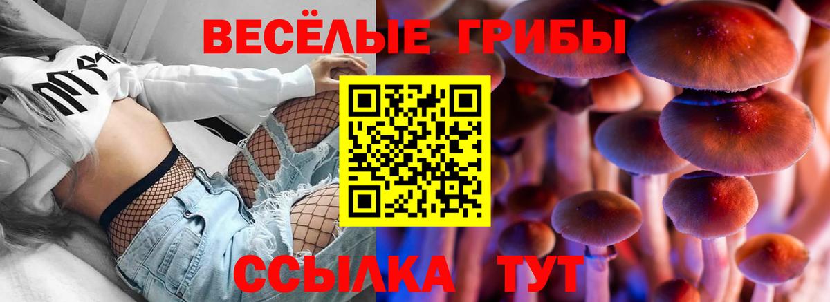 Галлюциногенные грибы Magic Shrooms  Вход с VPN  Полевской  купить  сайты  Галлюциногенные грибы Magic Shrooms 